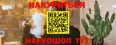 индика Жуковский