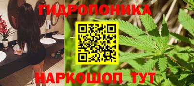 индика Жуковский