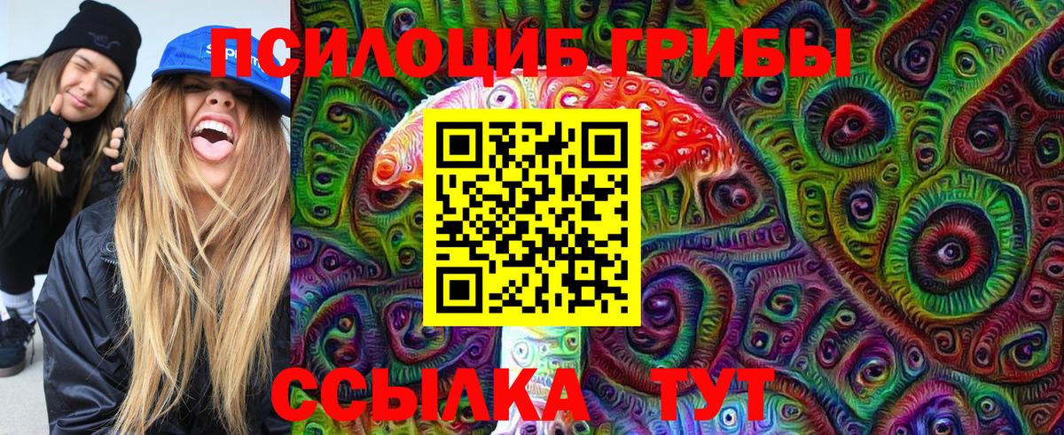 Галлюциногенные грибы Psilocybe Зеленодольск