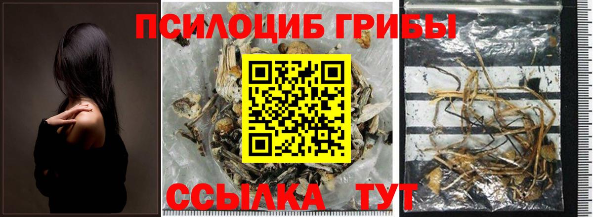 Зеленодольск  Псилоцибиновые грибы ЛСД  Вход с VPN 